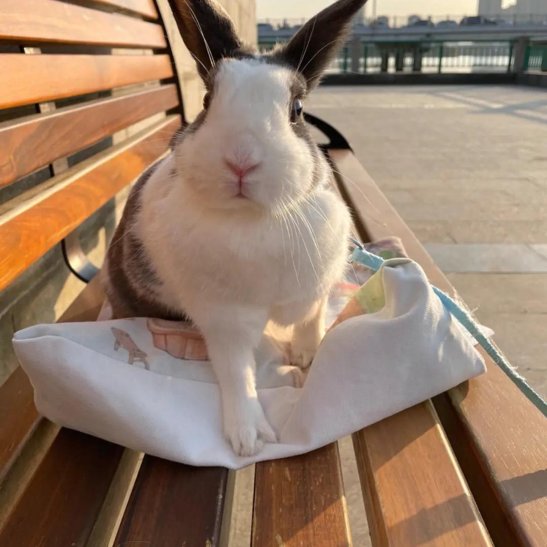 就是拍拍视频🤳🏻