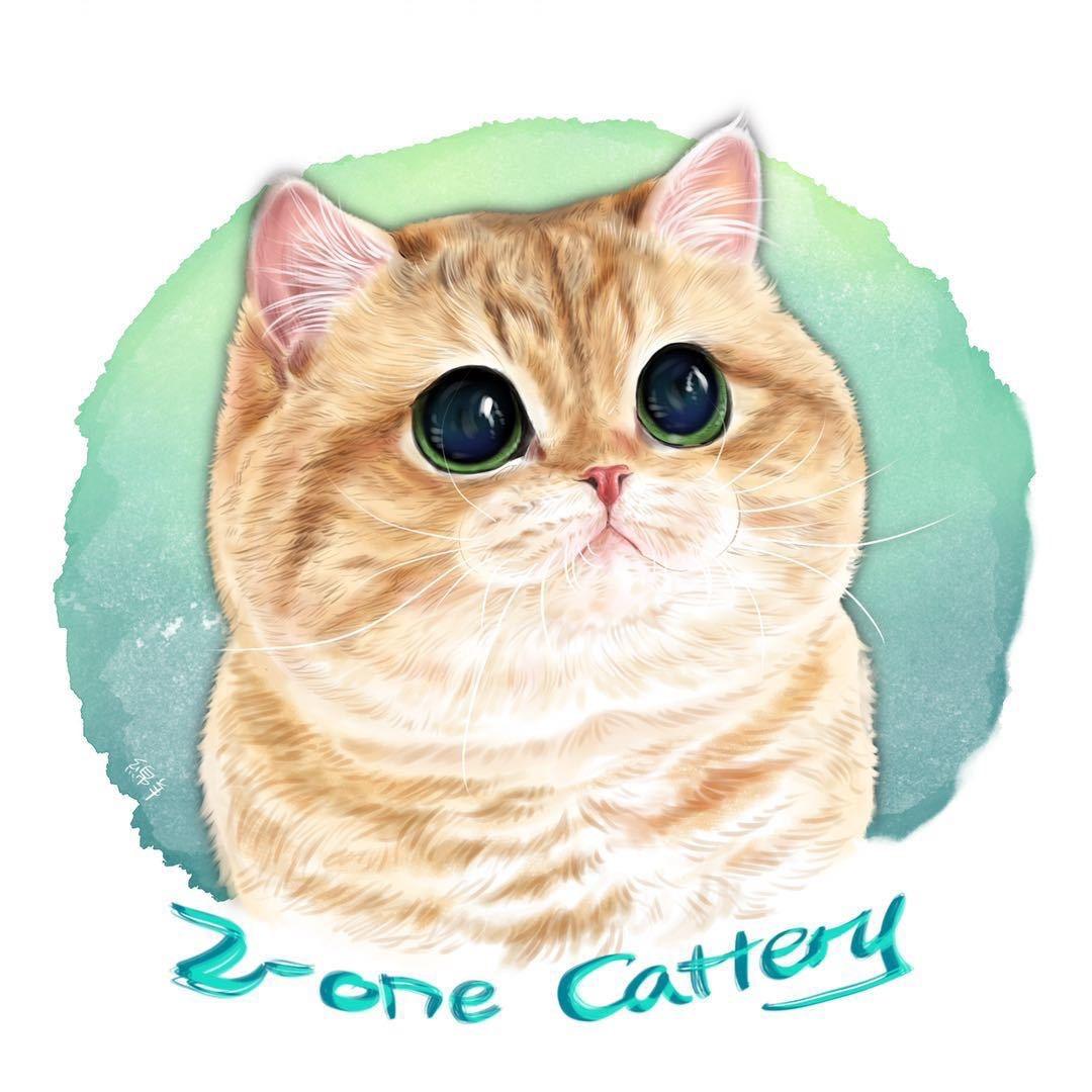 媛墩墩猫咪上门洗护