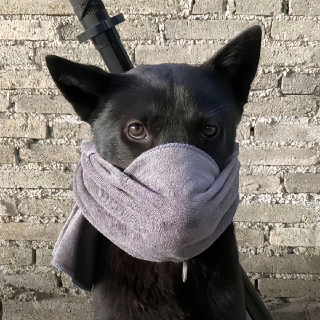 我要吃成大肥猪