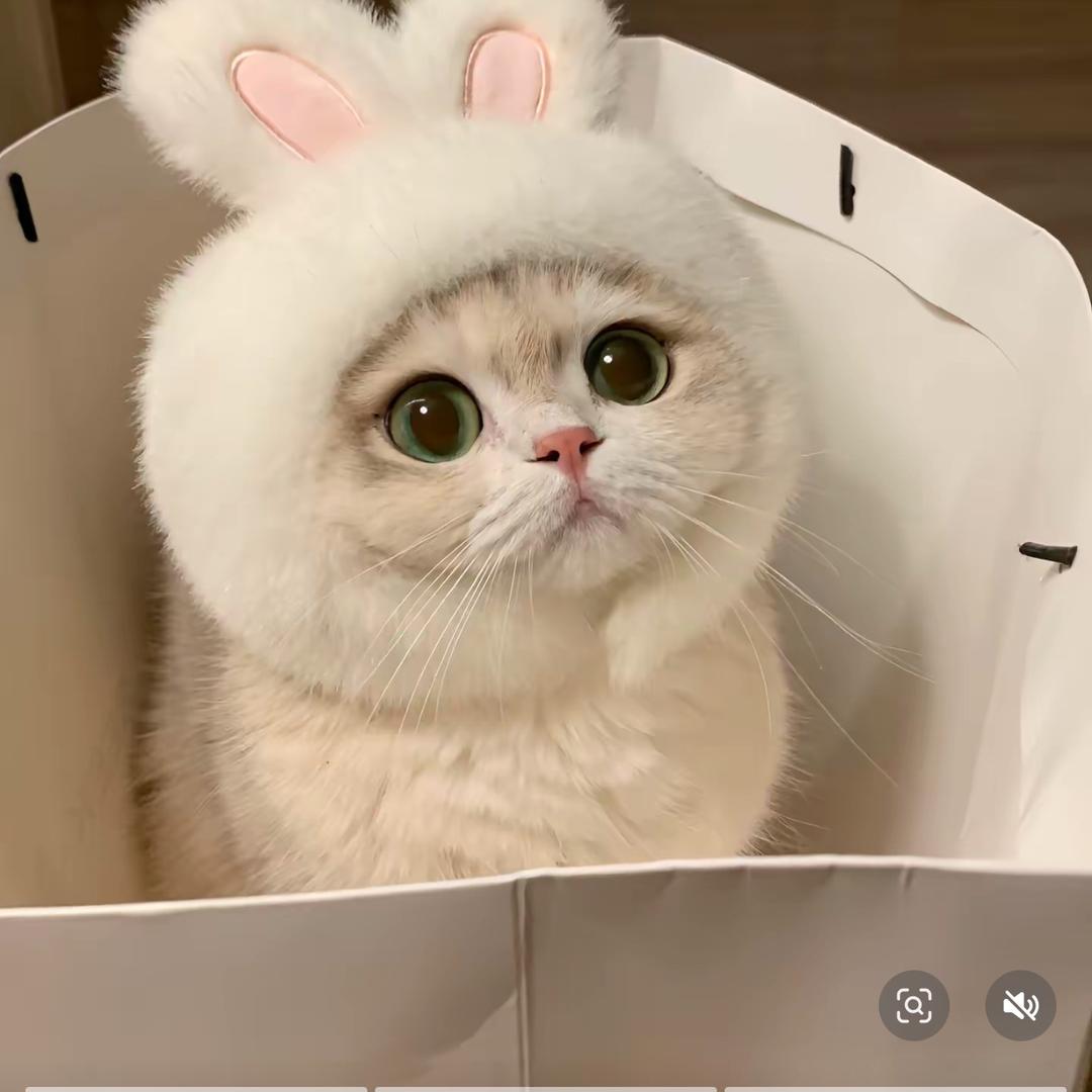 啦啦啦啦～