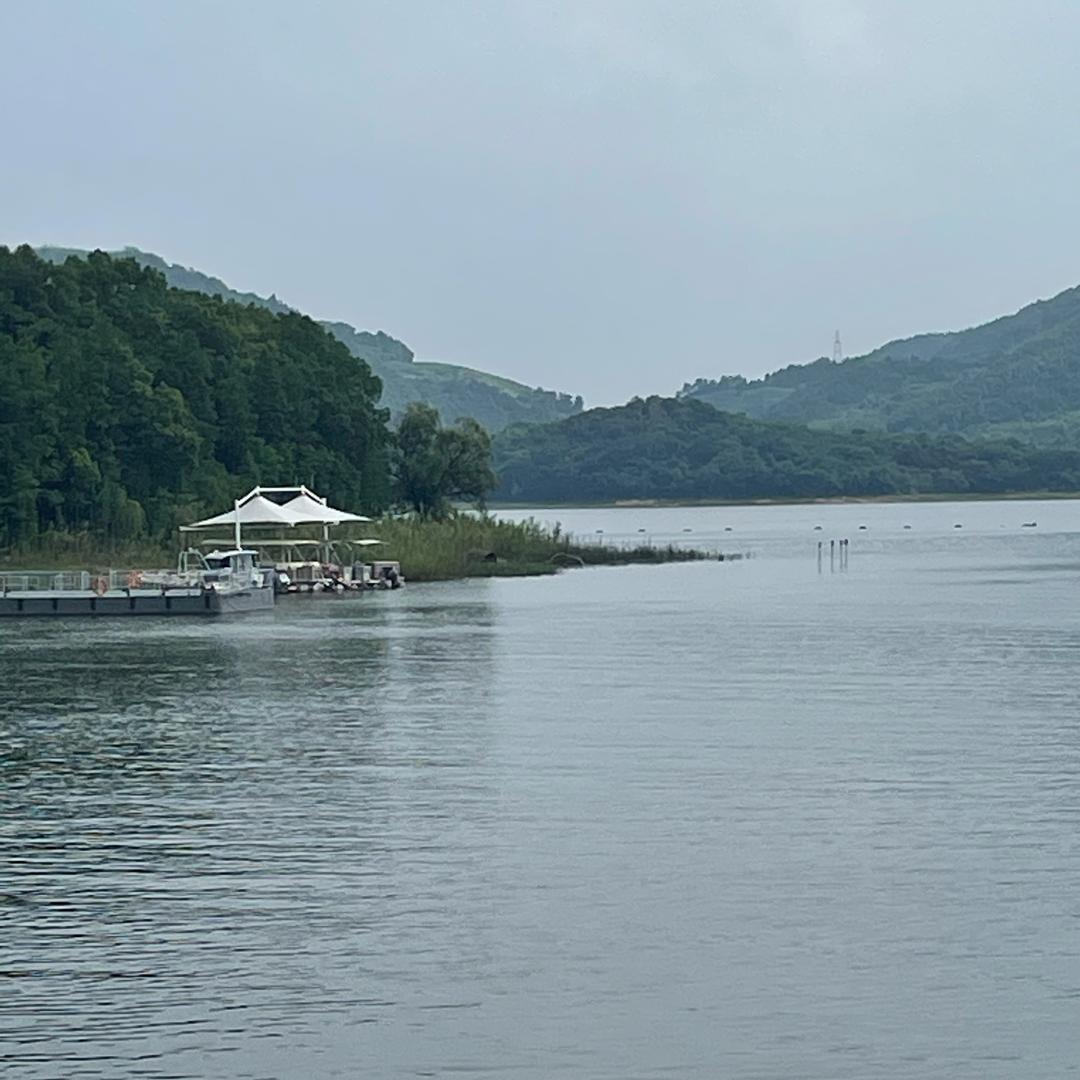 鸭梨