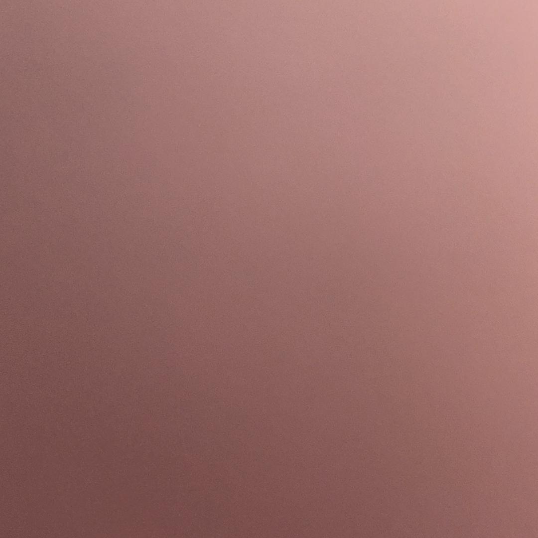 王指导