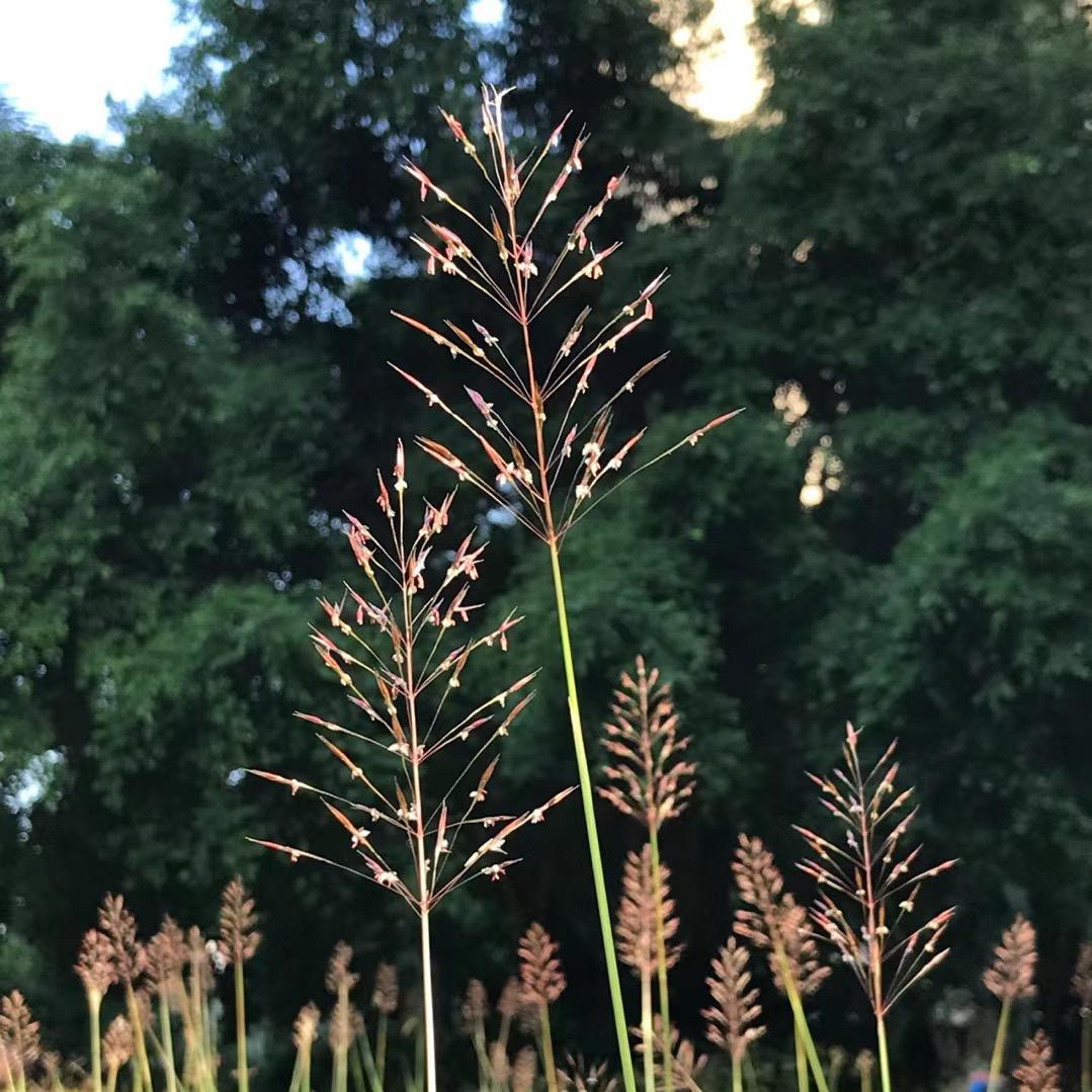 এ᭄災㦰ꦿృ༊