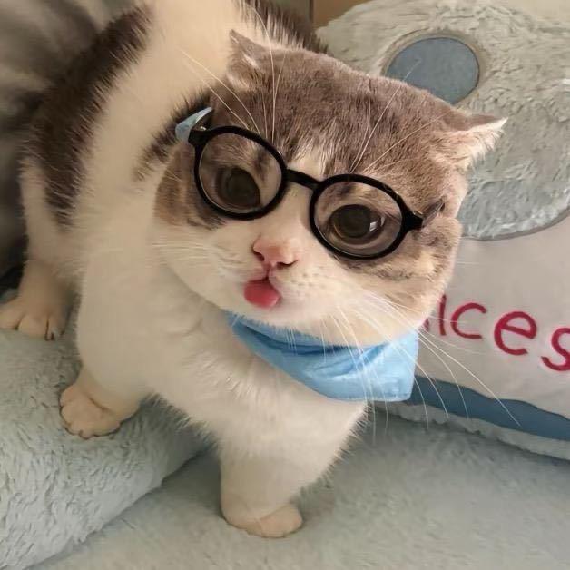 凉介.