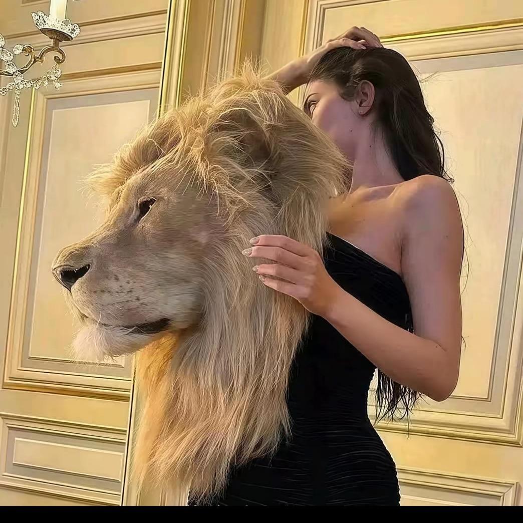 肉妮🐆
