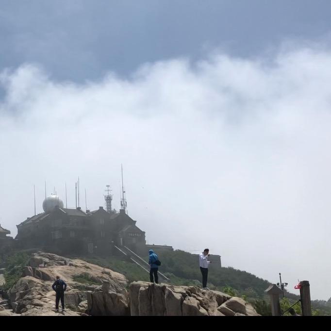 奔跑的仙人掌