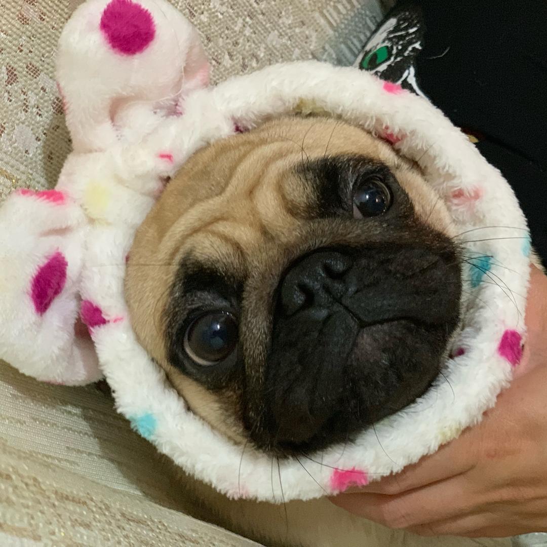 彩彩爱吃好多鱼