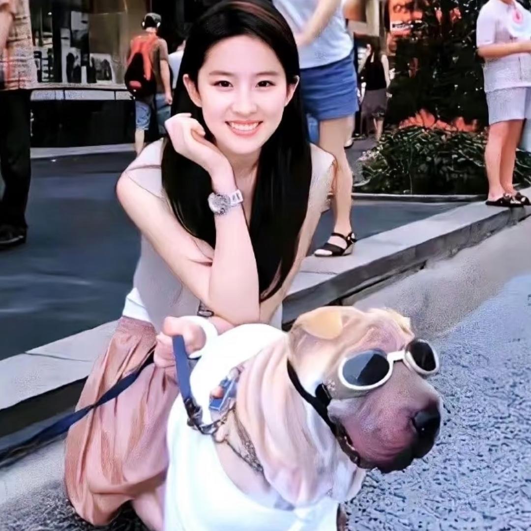 多多宝宝