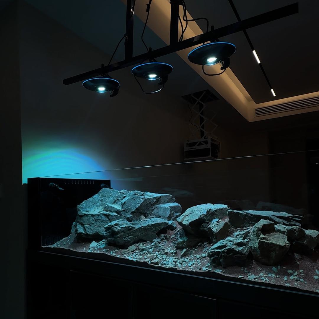 阿贵造景工作室