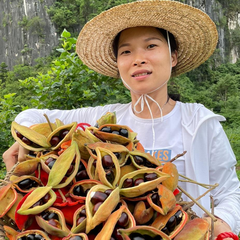 杨姑娘家乡特产