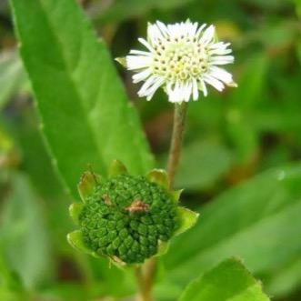 群姐爱生活-马主任说