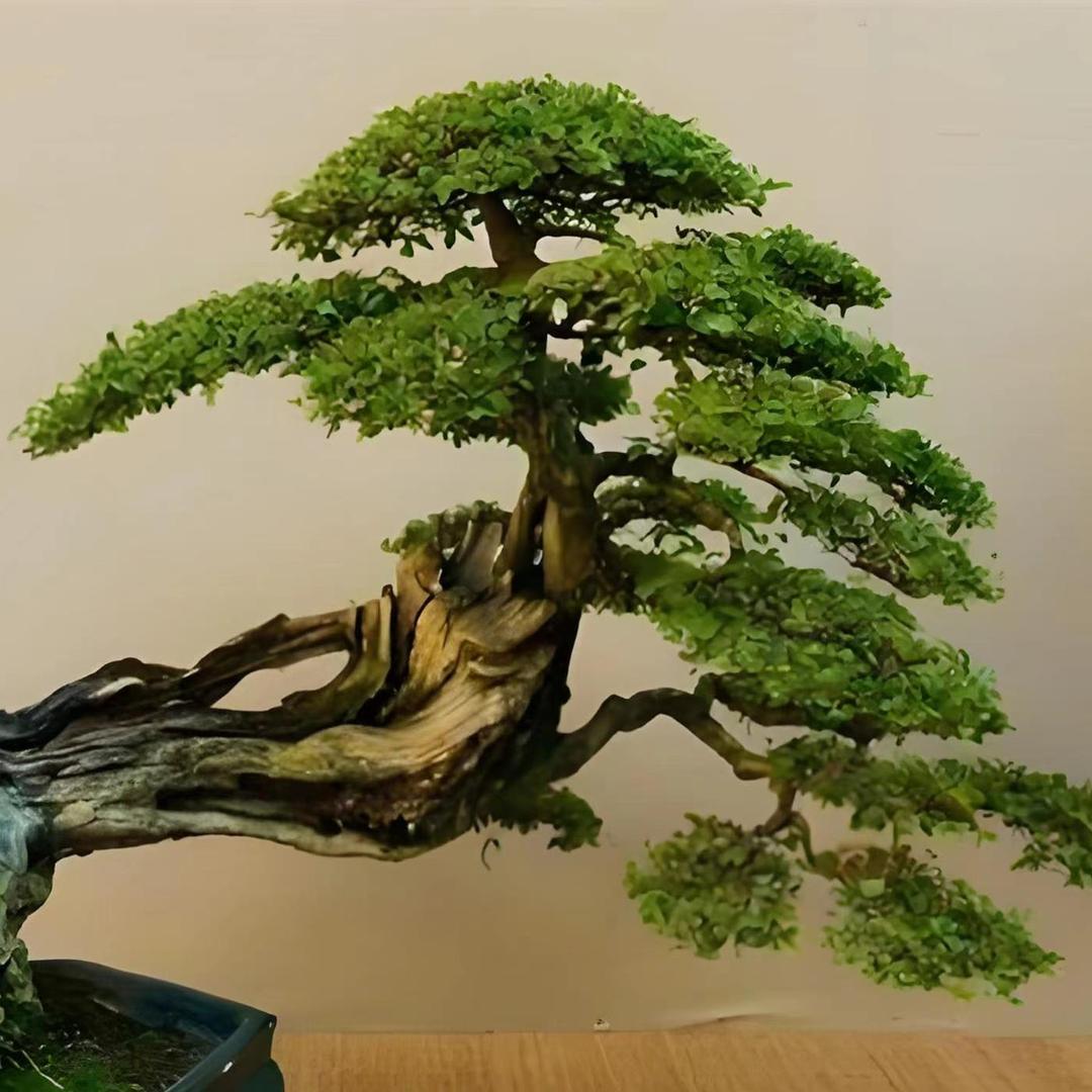 双木绿植花卉