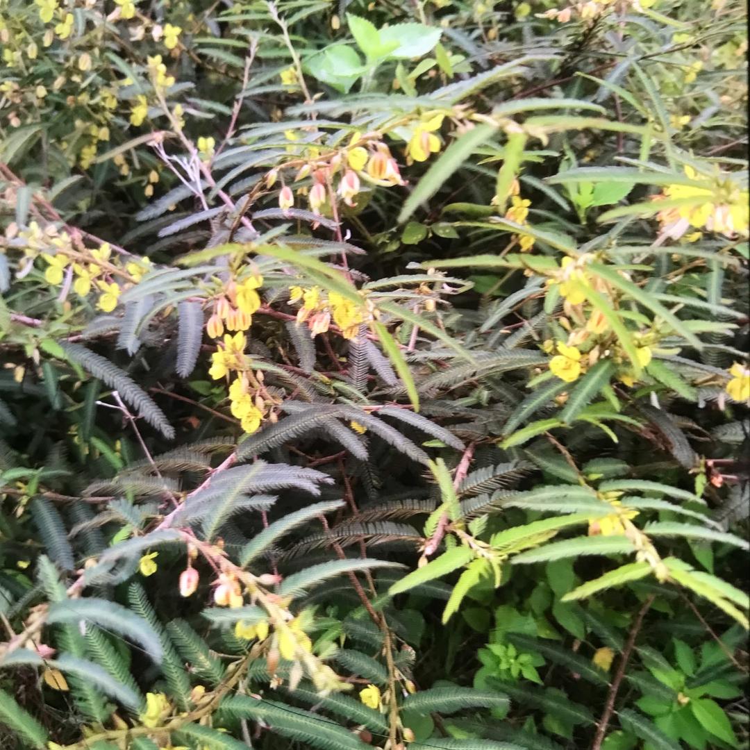 相遇随缘