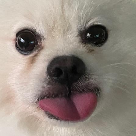 Asura