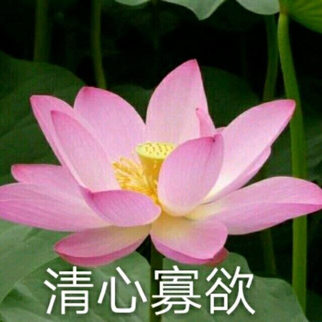 雯雯我是