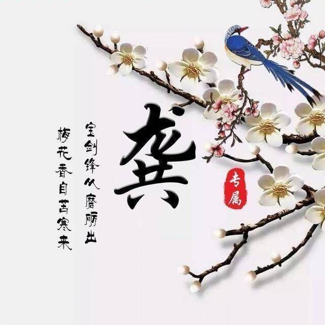 孤芳自赏