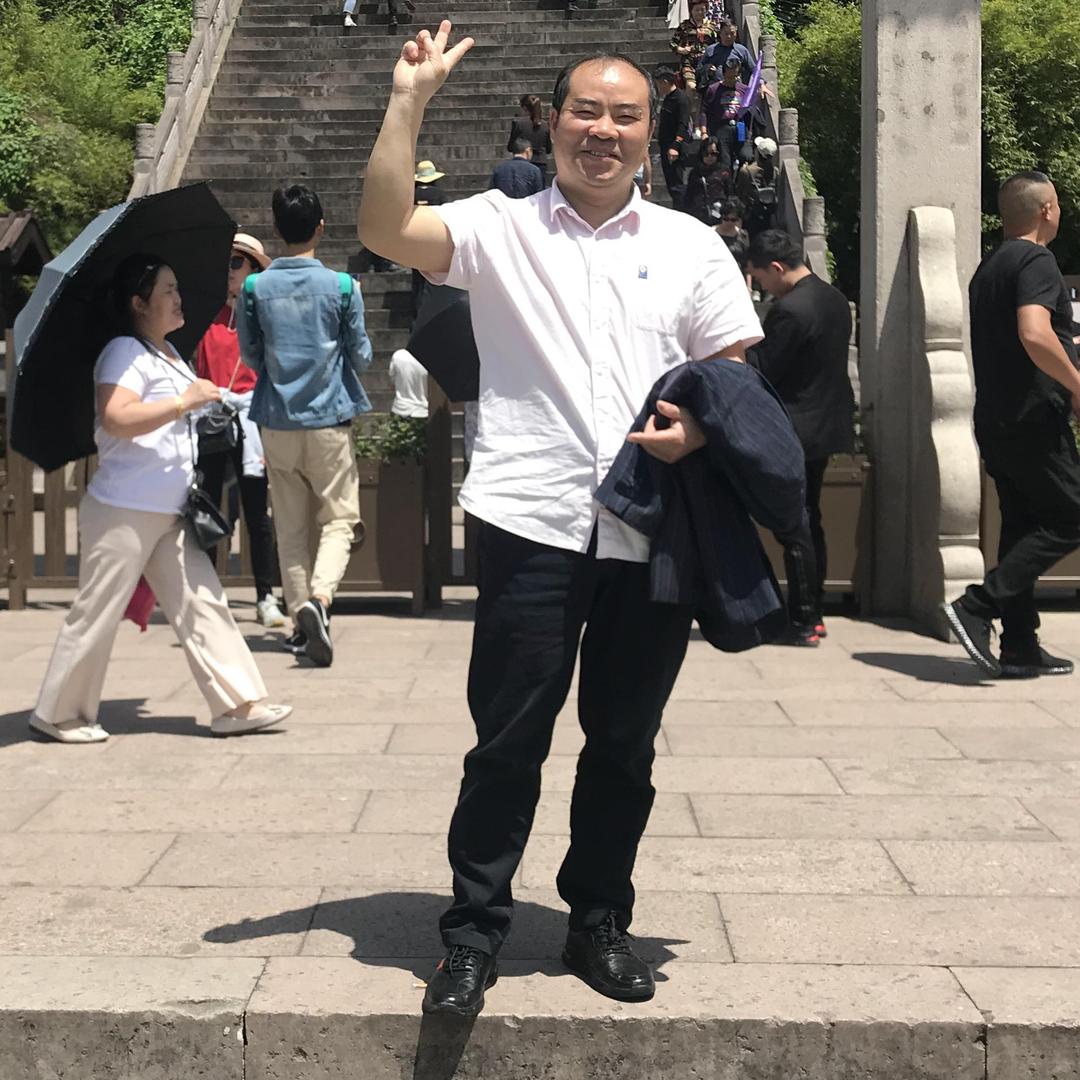 蜂巢植物墙系统