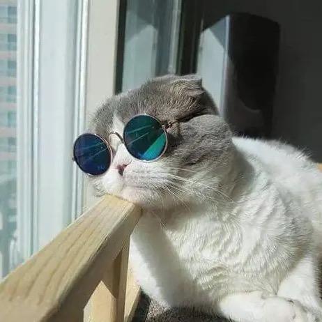 憨憨🌝🌝🌝