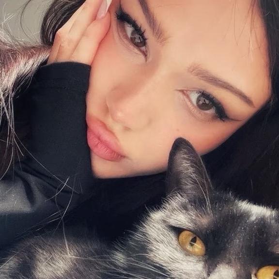 B🐾