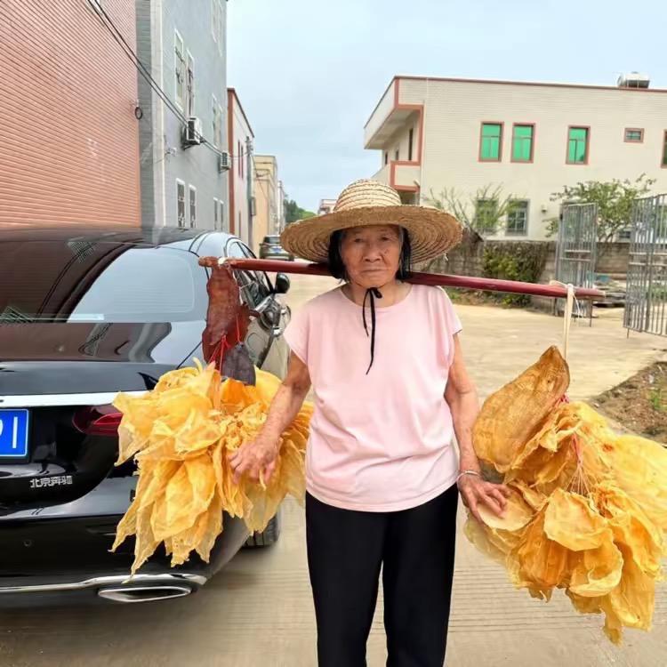 鱼胶林奶奶.