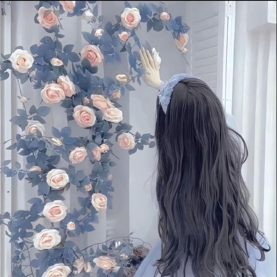 馨馨宝贝