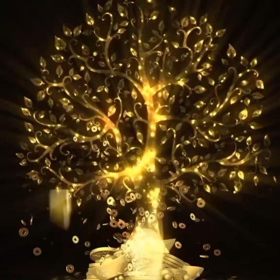 澜古里，足疗，养生