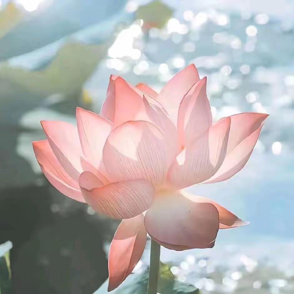 清风徐来a