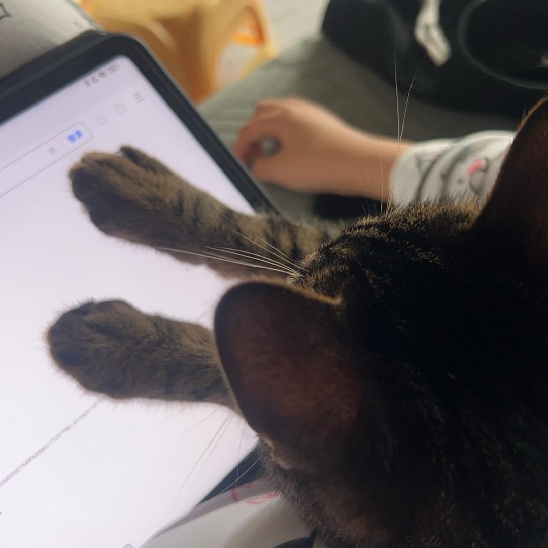 ￴￴ ￴￴ ￴￴