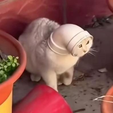 永远的海布里小将