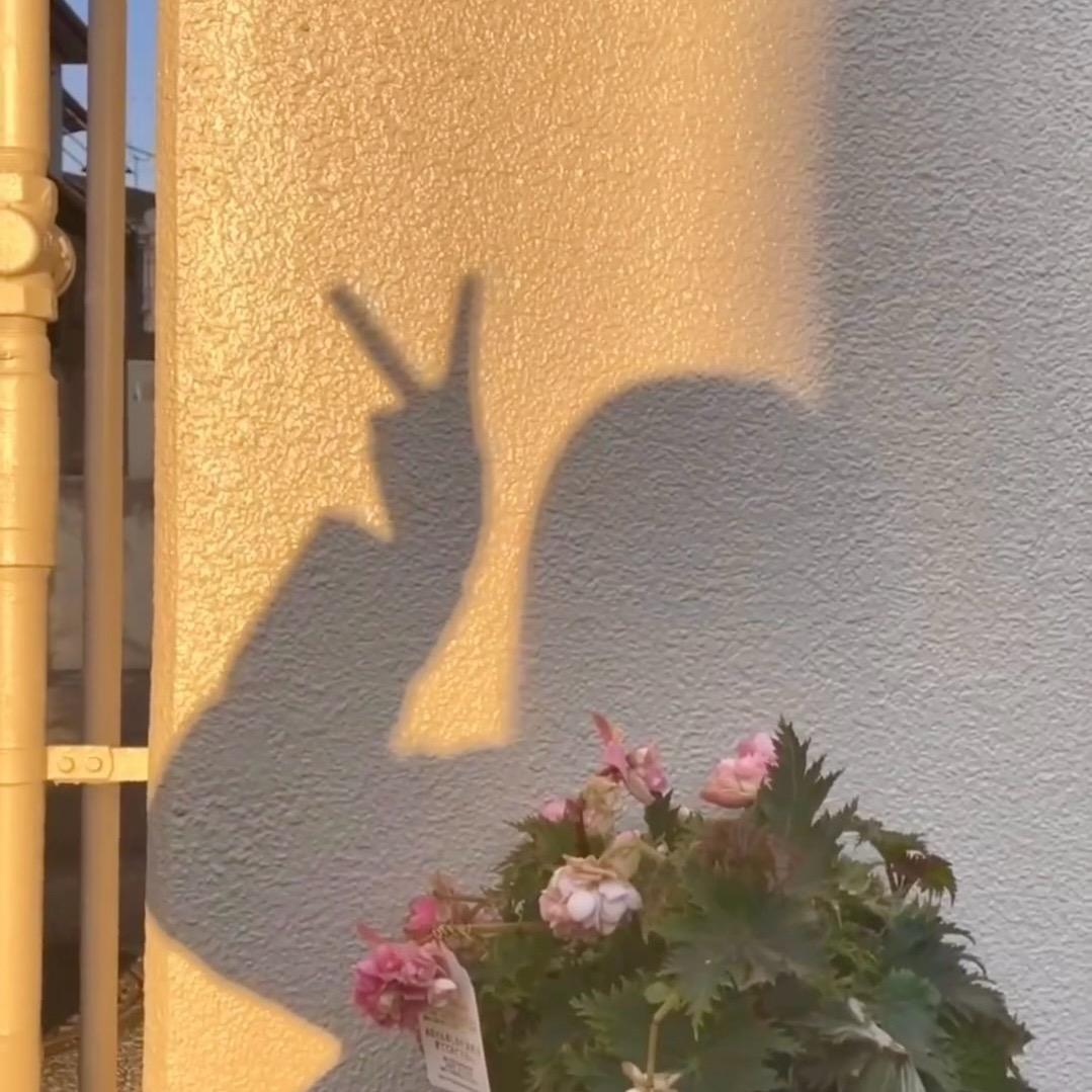 缘来是你🌵