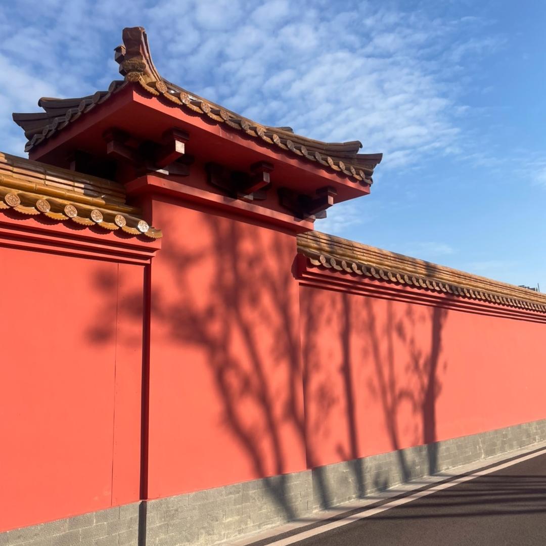 艺阳文化❤️