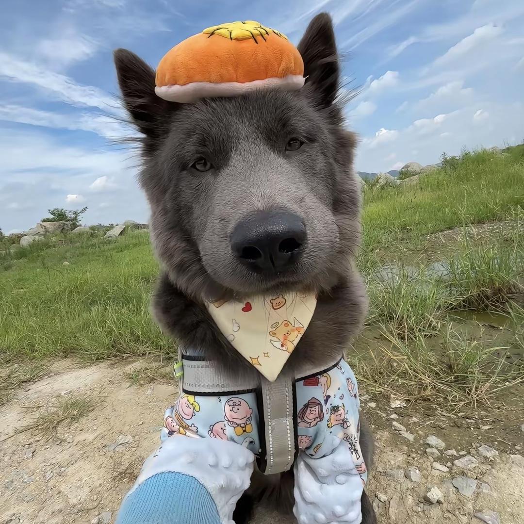 宙左冷