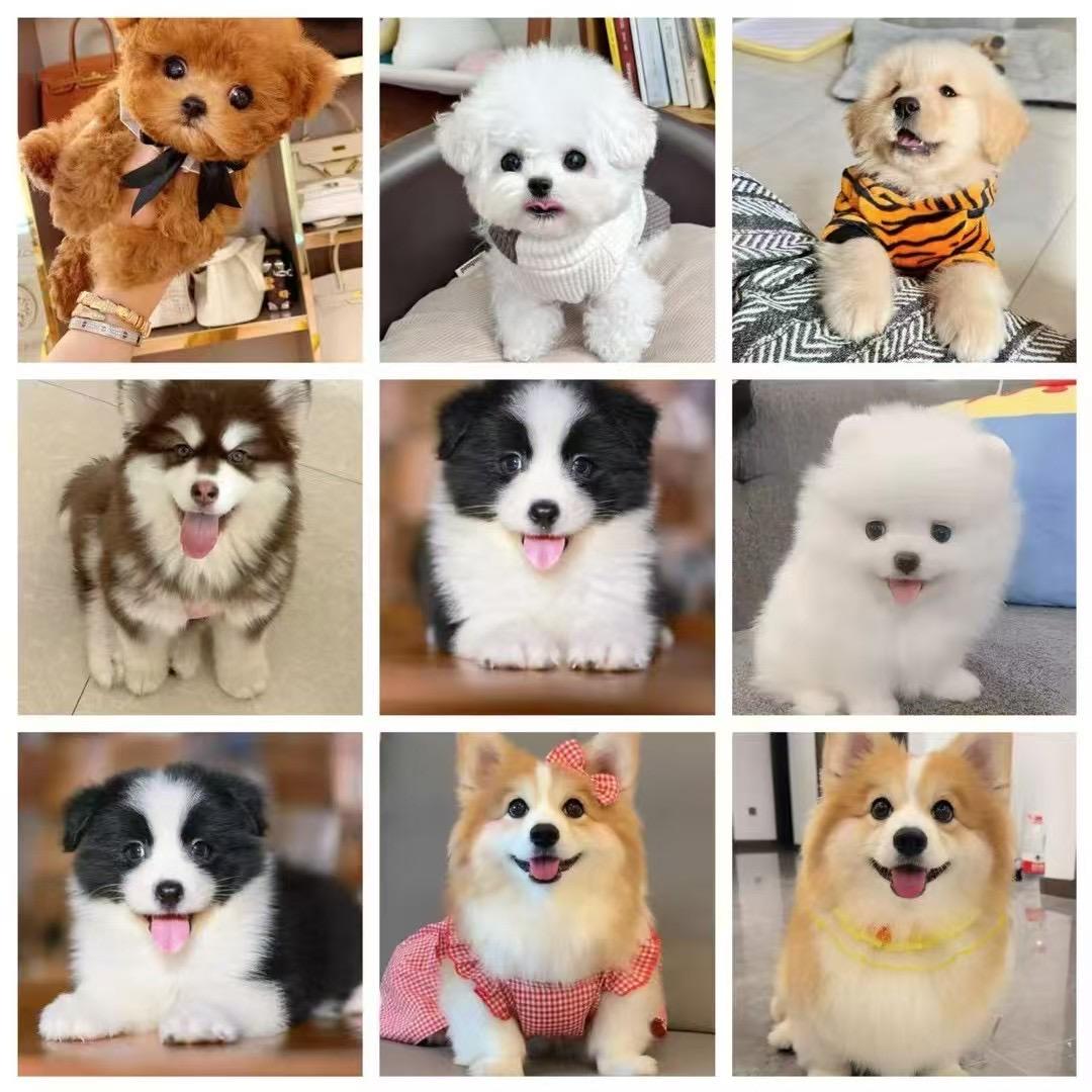 @小乐乐