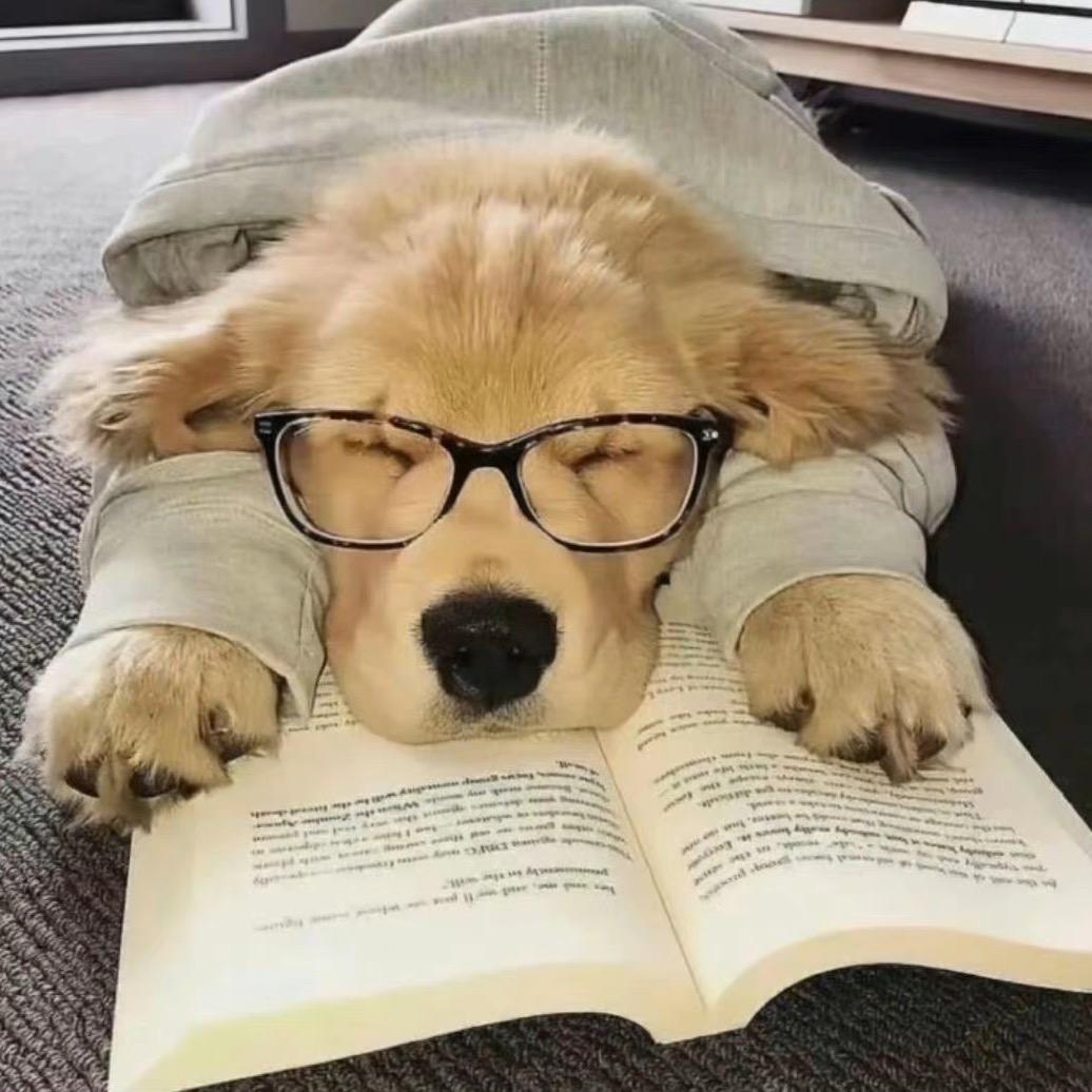 一只爱打游戏的程序猿