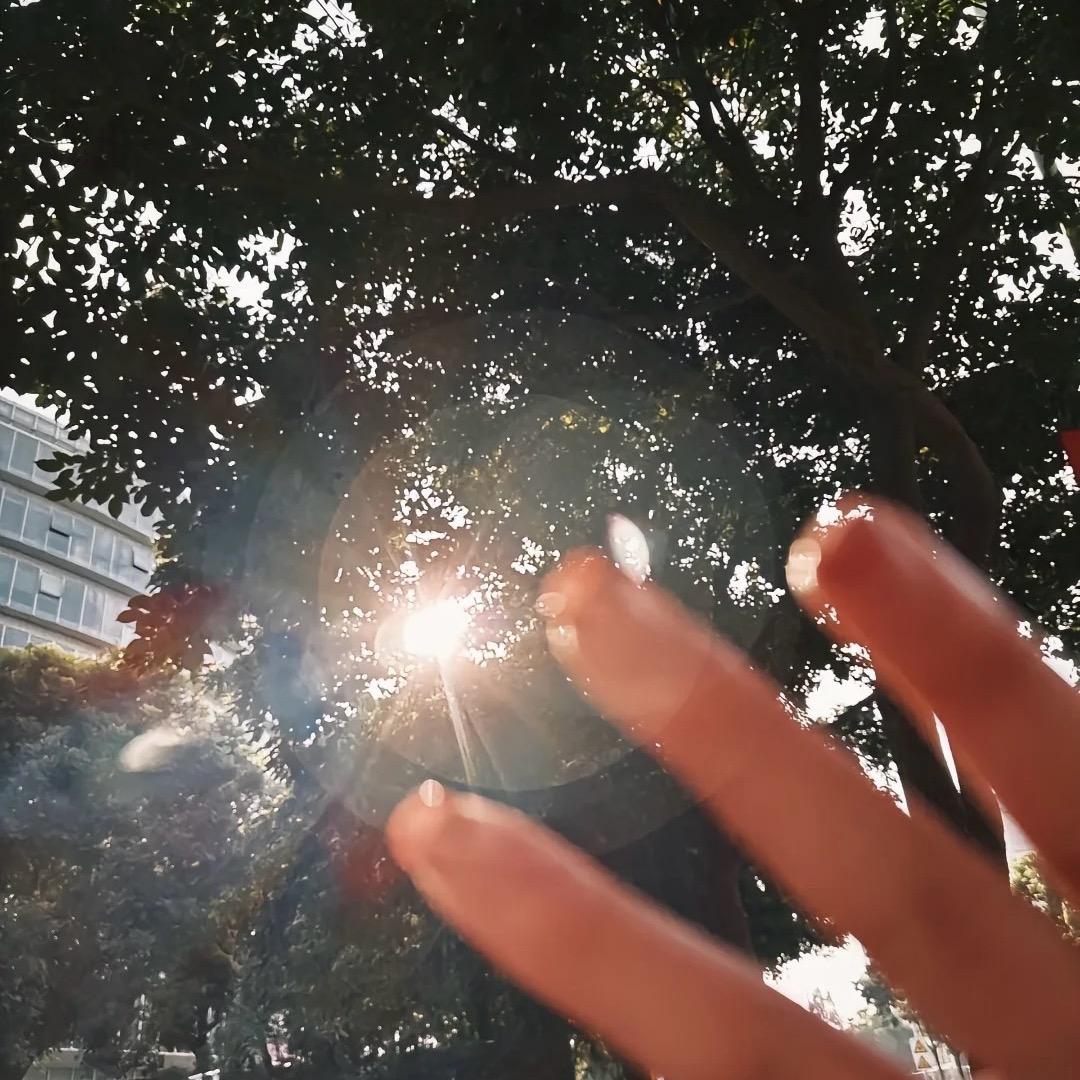 এ᭄Fall.ഒᩚ  ✨