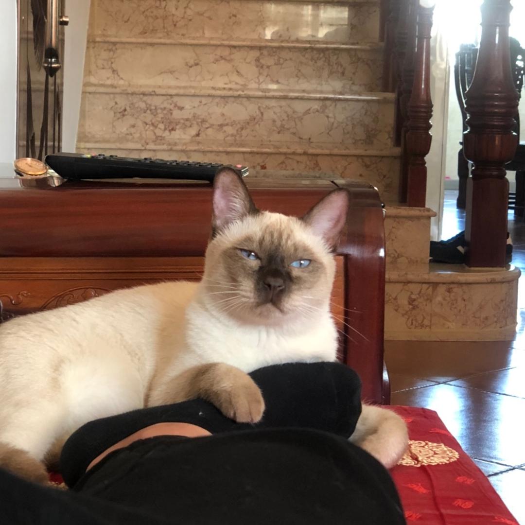 🌞太。阳。杰🌞