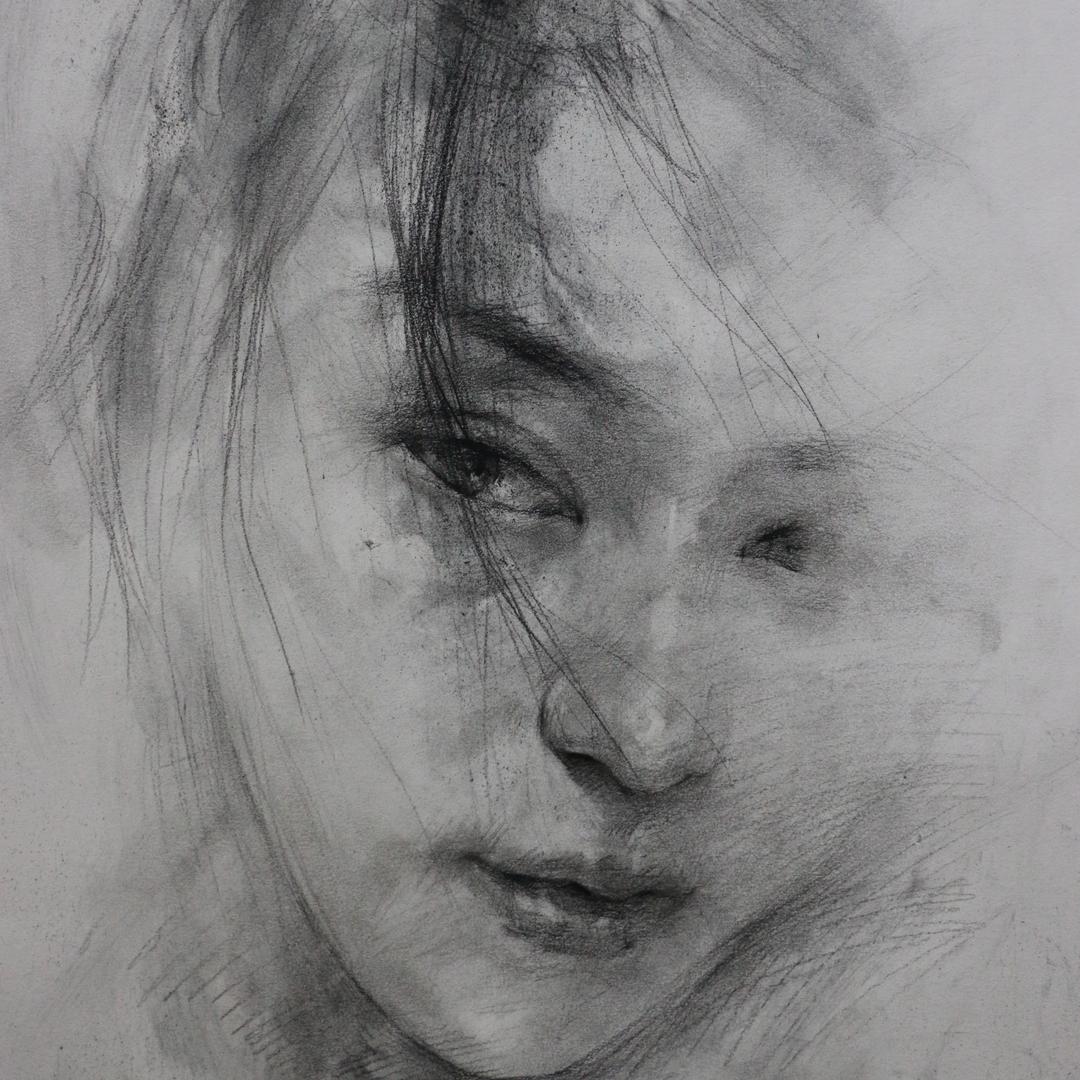 素描生态