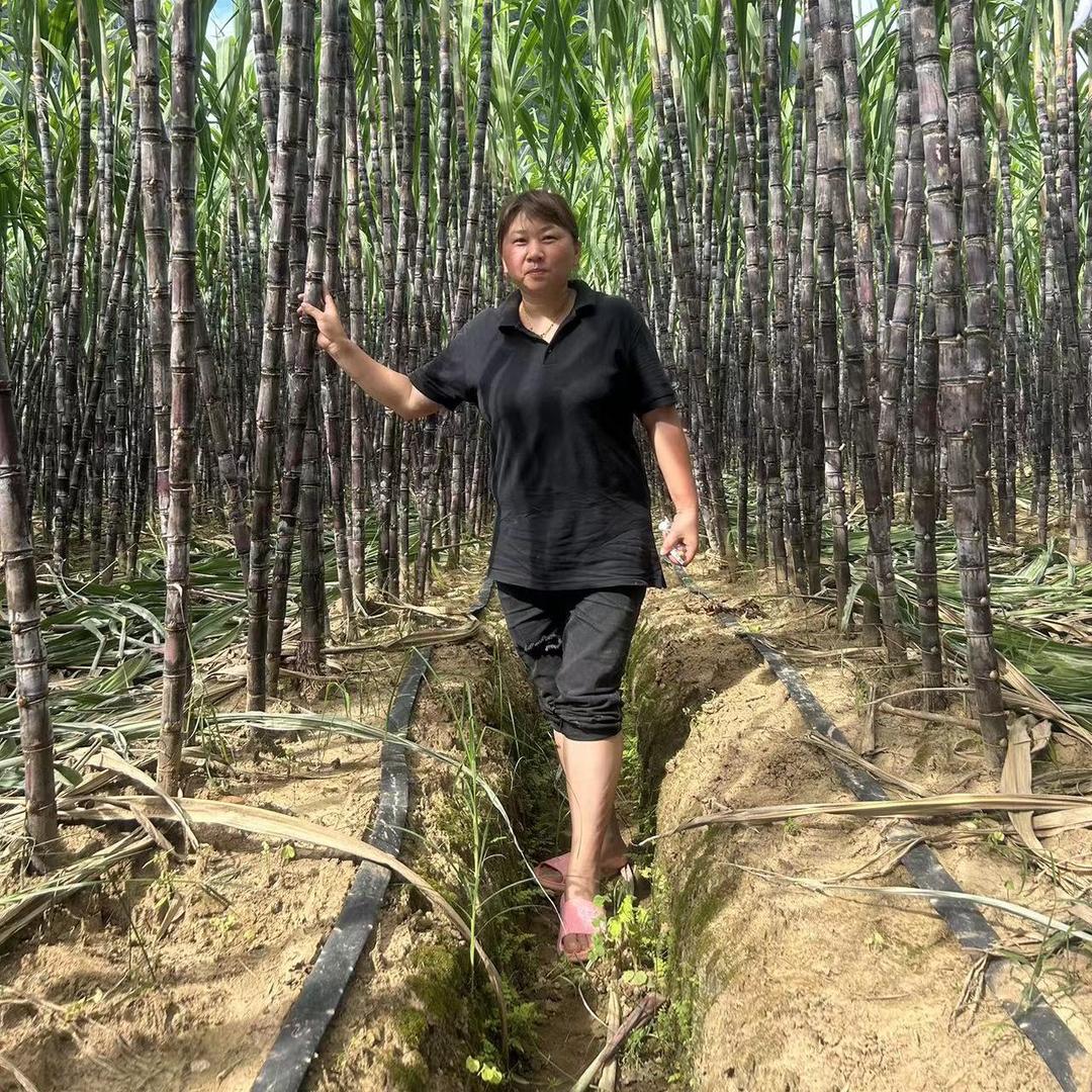 村之书助农