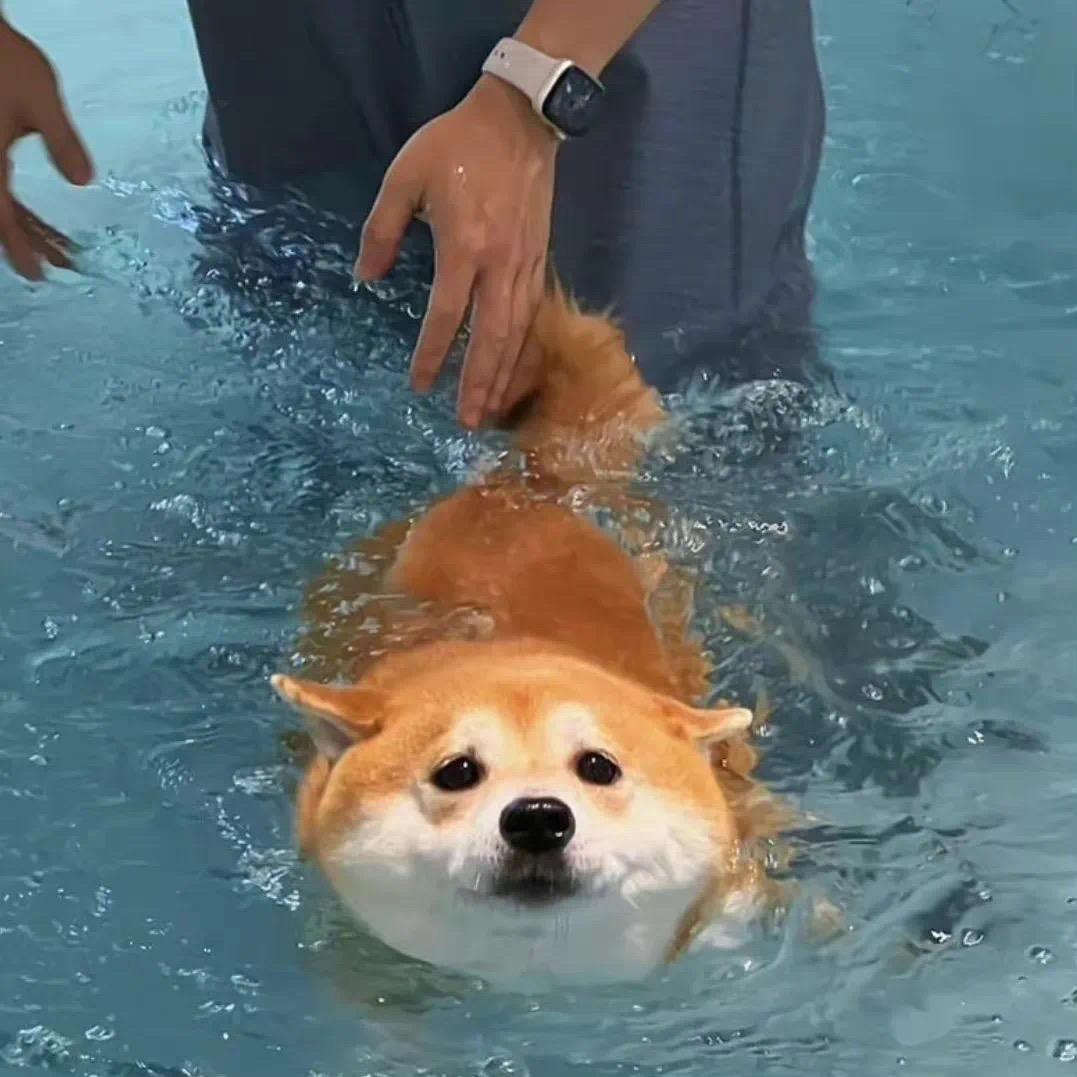 幻想牛仔裤
