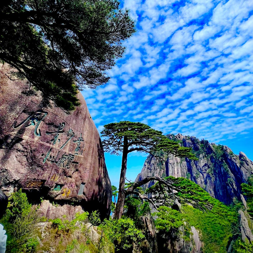 道玄阁（道诚）☯️