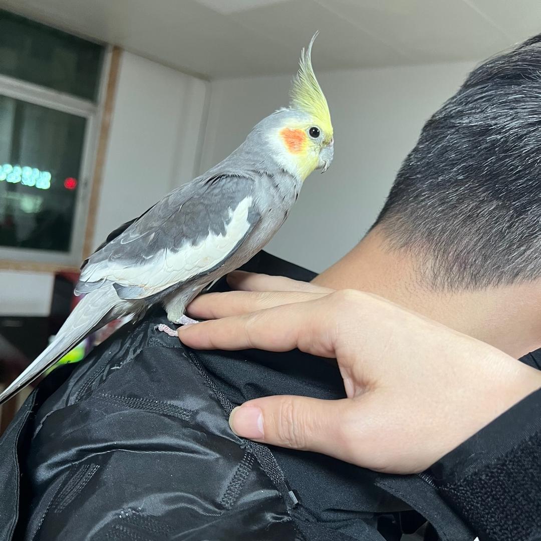 慧娟