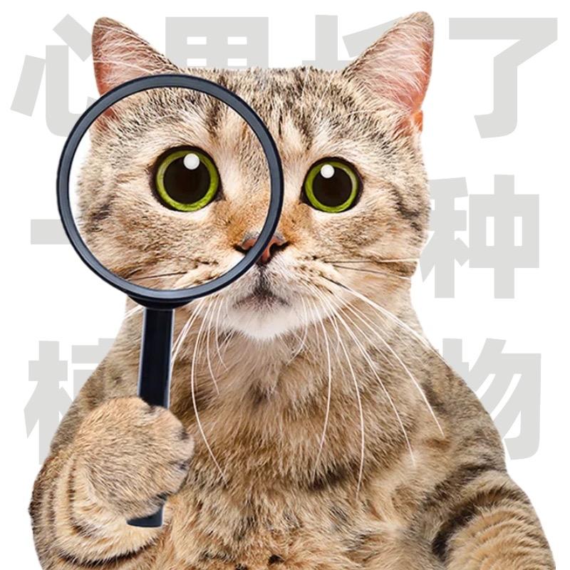 猫砂王(卖猫砂的)🐱🐱🐱