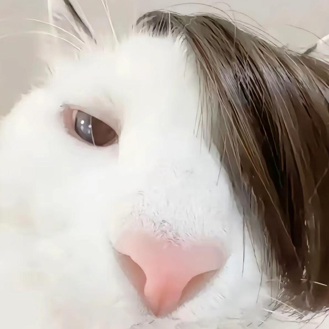 愿望是每天早睡