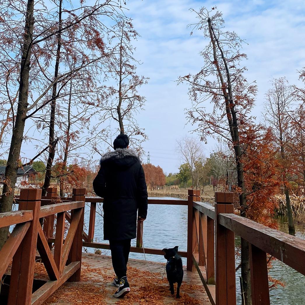 进口家居 CharlieWang