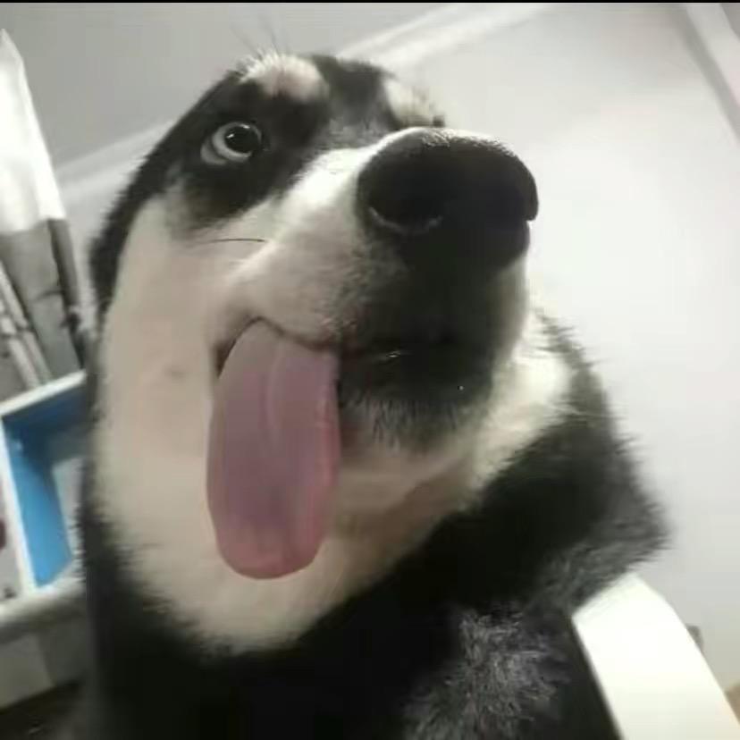 别让情为难ㅤ