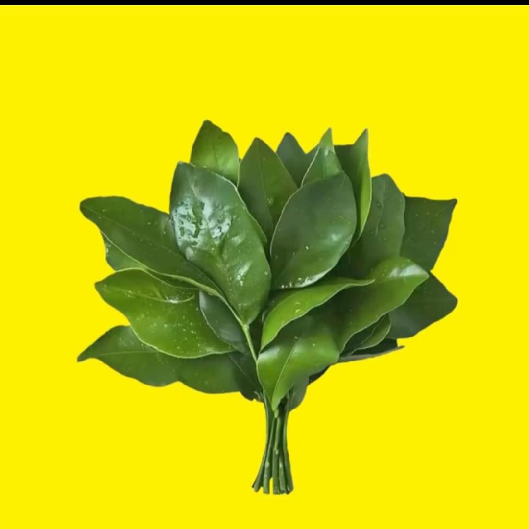 ⛰️