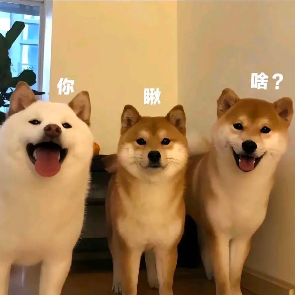 狗头（新号版）