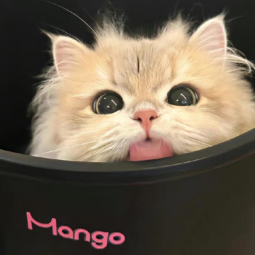 羌永昌辉经营号