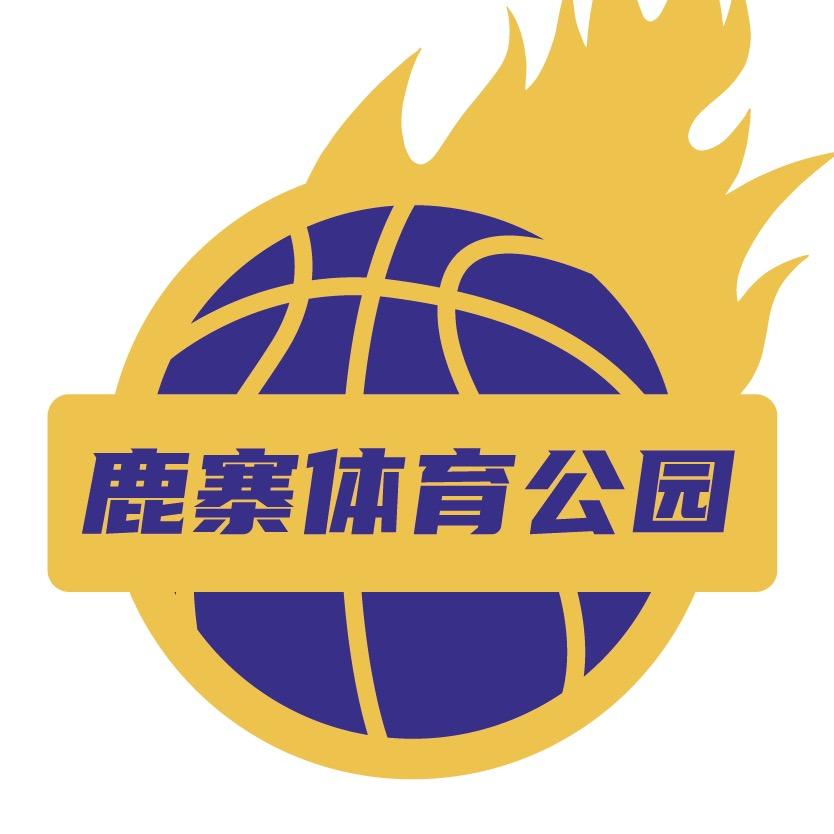 鹿寨体育公园(村BA版)🏀