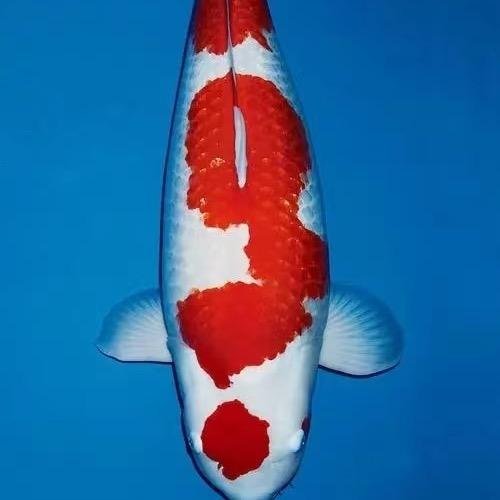 弘裕水产养殖场